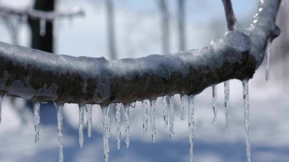 Şahbuzda qarın hündürlüyü 17 sm-ə çatıb – FAKTİKİ HAVA
