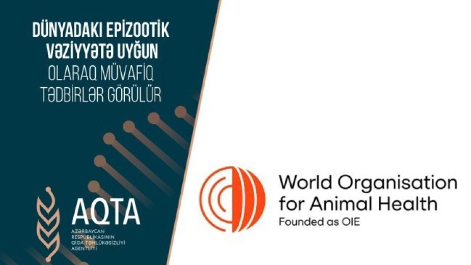 Azərbaycan bəzi ölkələrdən heyvandarlıq və quşçuluq məhsullarının idxalına müvəqqəti məhdudiyyət qoyub