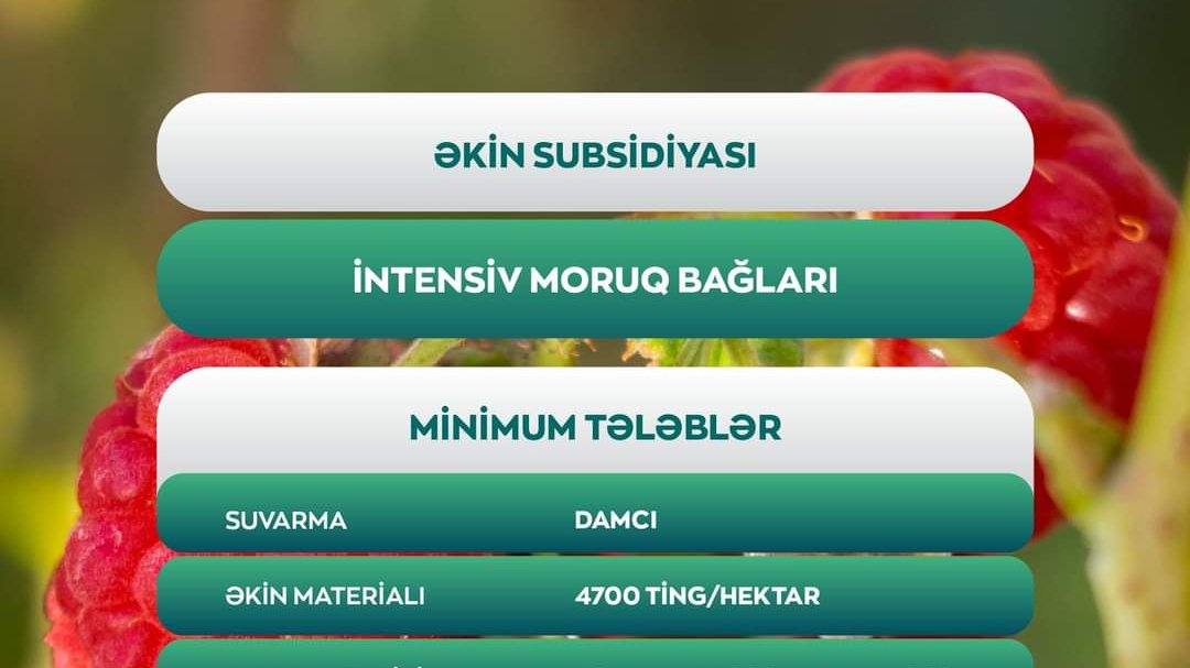 Fermerlərə 3200 manat birdəfəlik əkin subsidiyası veriləcək
