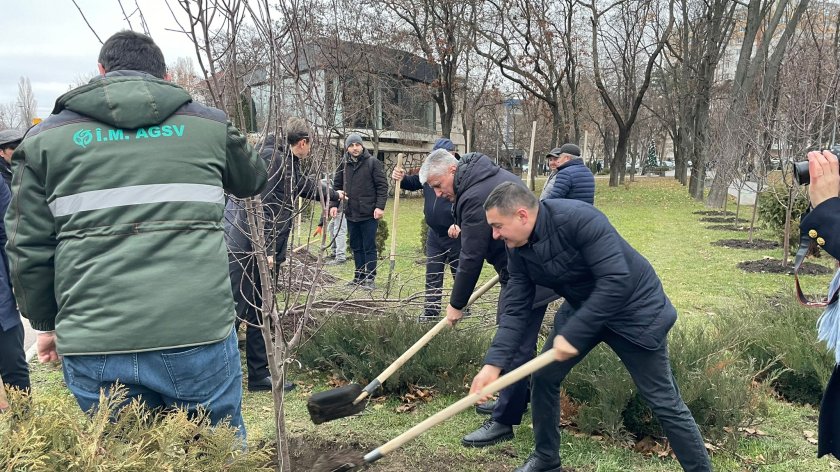 Kişineuda “Xarıbülbül” Azərbaycan-Moldova Dostluq Xiyabanı salınıb