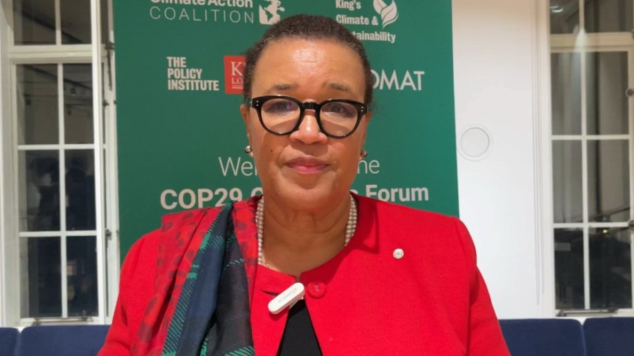 Baronessa Patrisiya Skotland: COP29-da mühüm uğur əldə etdik