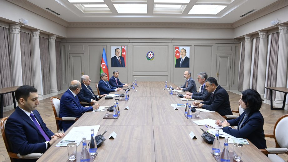 Baş nazir Əli Əsədov İqtisadi Əməkdaşlıq və İnkişaf Təşkilatının nümayəndə heyəti ilə görüşüb