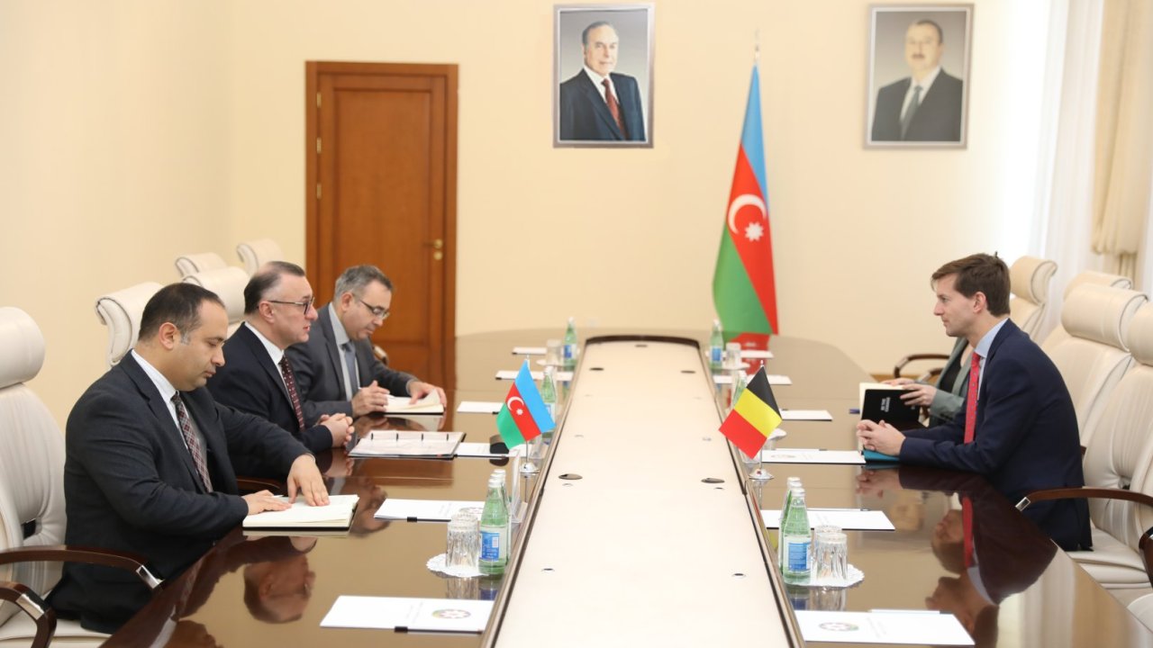 Azərbaycan Səhiyyə Nazirliyində Belçika səfiri ilə görüş keçirilib