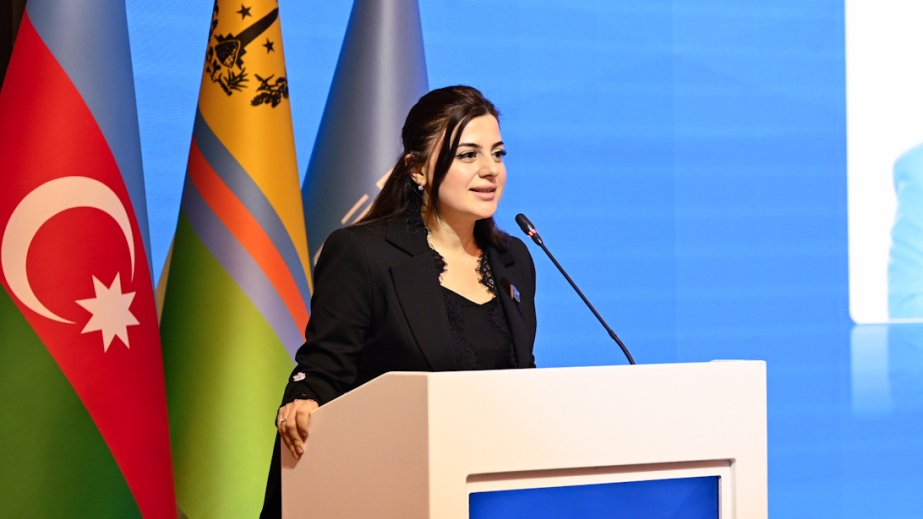 Deputat: Sen Martin xalqı Fransa-Niderland müqaviləsinin nəticələrindən əziyyət çəkir