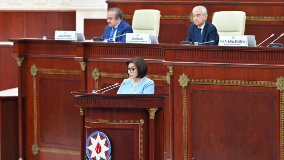 Milli Məclisin sədri: İkili standartlar, daxili işlərə müdaxilələr müasir dövrdə ölkələrin qarşılaşdığı neqativ hallardır