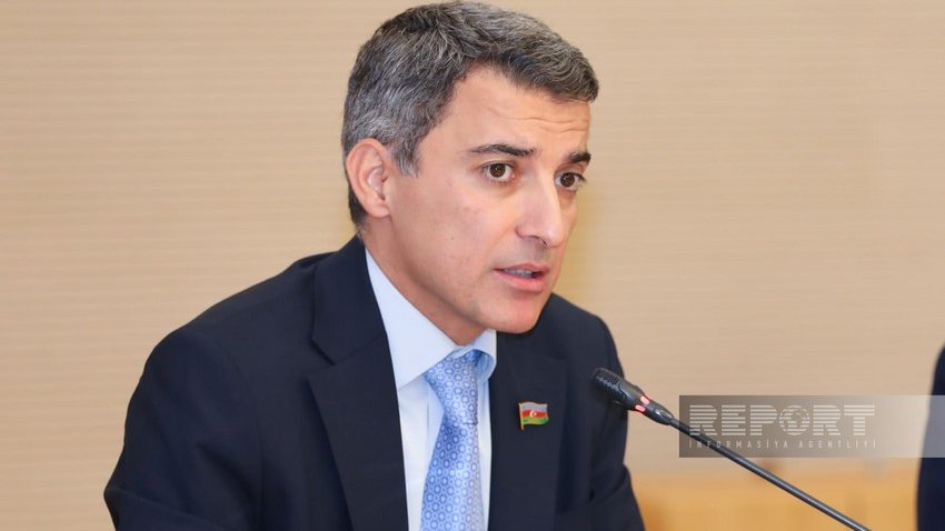 Yeni qanuna iqtisadi və mədəniyyət diplomatiyası anlayışlarının daxil edilməsi təklif olunub