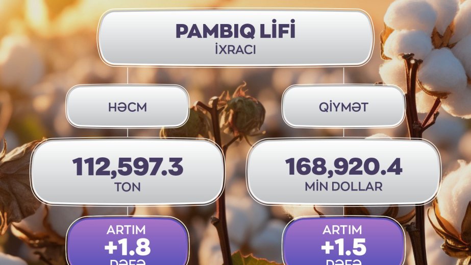 KTN: Pambıq lifi ixracında 1,8 dəfə artım olub