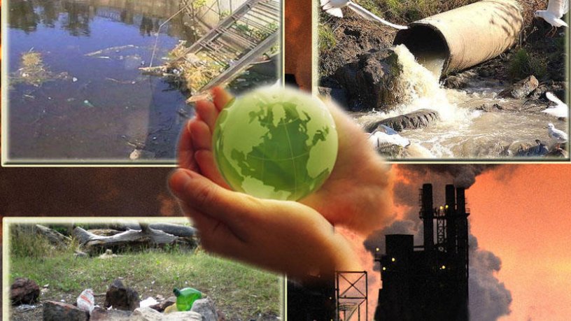 İqtisadi inkişafda biomüxtəlifliyin əhəmiyyəti və onun qorunmasında dövlətlərin rolu - ARAŞDIRMA