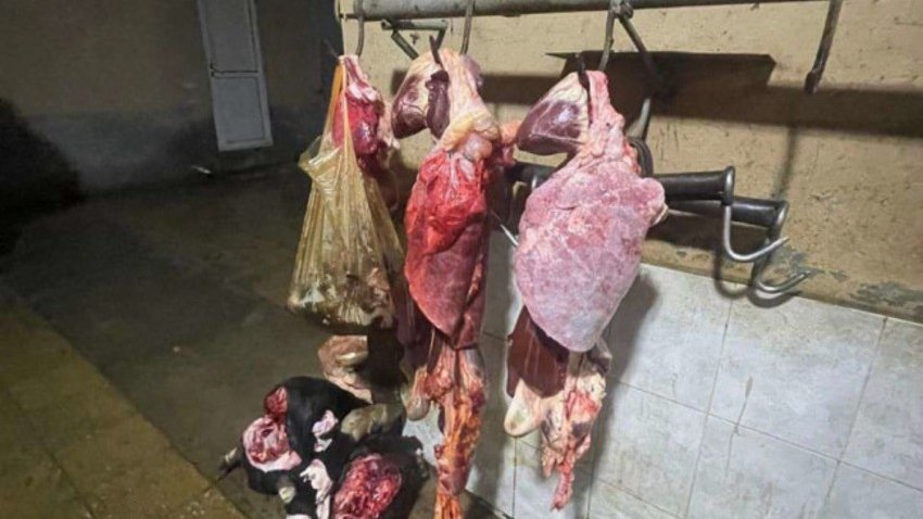 Ağcabədidə istehlaka yararsız 171 kq ət və subməhsulun satışının qarşısı alınıb