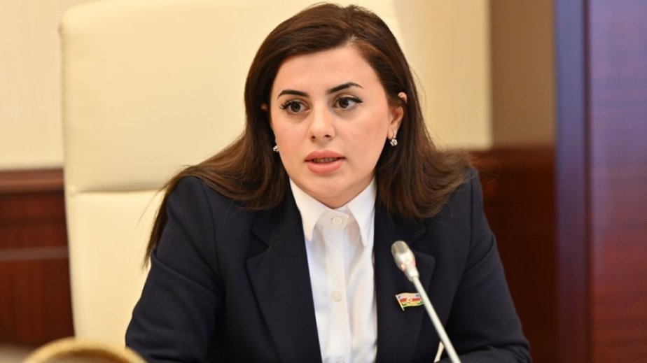 Deputat: Fransa etnik azlıqların tarixinin, kimliyinin və mədəniyyətinin məhvinə son qoymalıdır