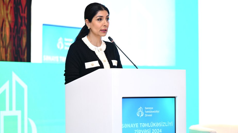 Nigar Arpadarai: Dövlət-özəl sektor-vətəndaş cəmiyyəti üçbucağında əməkdaşlıq mexanizmləri qlobal layihələrə zəmin yaradır