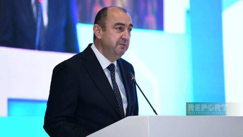 Nazir müavini: Azərbaycanın iqtisadi inkişaf konsepsiyasında ətraf mühitin mühafizəsi əsas prioritetlərdəndir