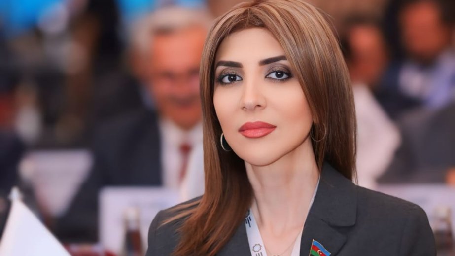 Ermənistanın hərbiləşmə meyilləri regionda silahlanma yarışını sürətləndirir ŞƏRH