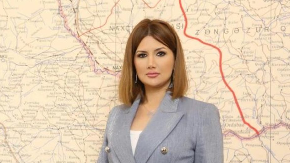 Petrosyanın vaxtilə azərbaycanlılarla bağlı səsləndirdiyi ifadələr xalqımıza qarşı deportasiyaların açıq şəkildə bəyan edilməsidir - Ülviyyə Zülfiqar