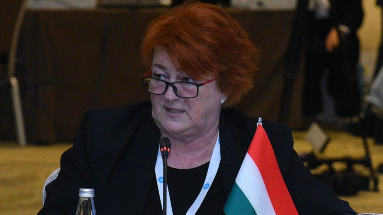 Macarıstan Türk Dövlətlərinin gömrük rəhbərlərinin görüşünün Budapeştdə keçirilməsini təklif edib