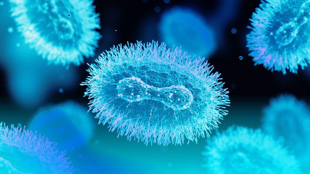 Azərbaycanda ilk yoluxma halı aşkarlanan meymunçiçəyi virusu nədir?