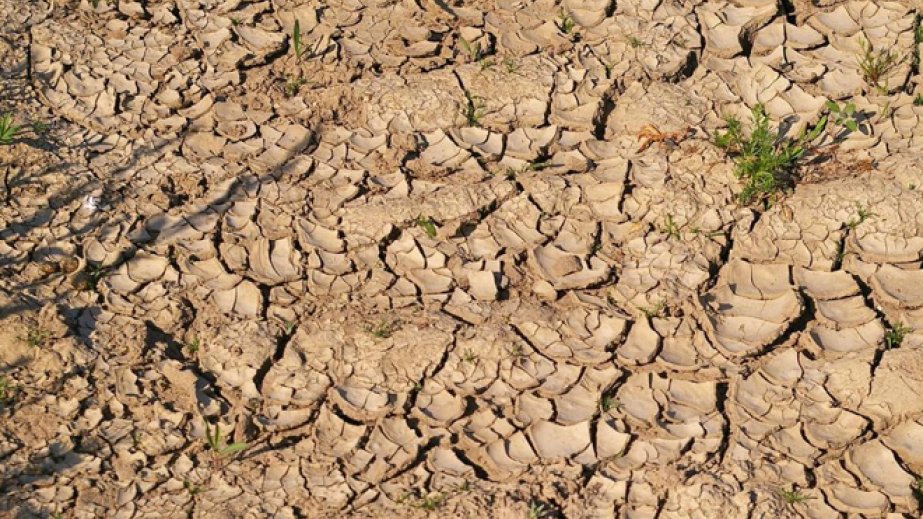 Qlobal miqyasda quraqlıqların artması bütün dünya üçün təhlükədir - TƏDQİQAT
