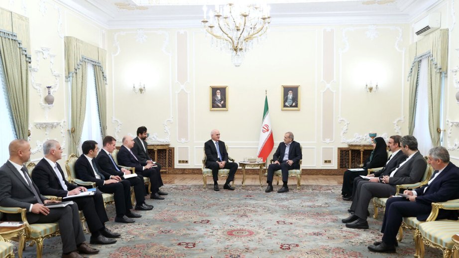 Məsud Pezeşkian Baş nazirin müavini Şahin Mustafayevin rəhbərlik etdiyi nümayəndə heyəti ilə görüşüb