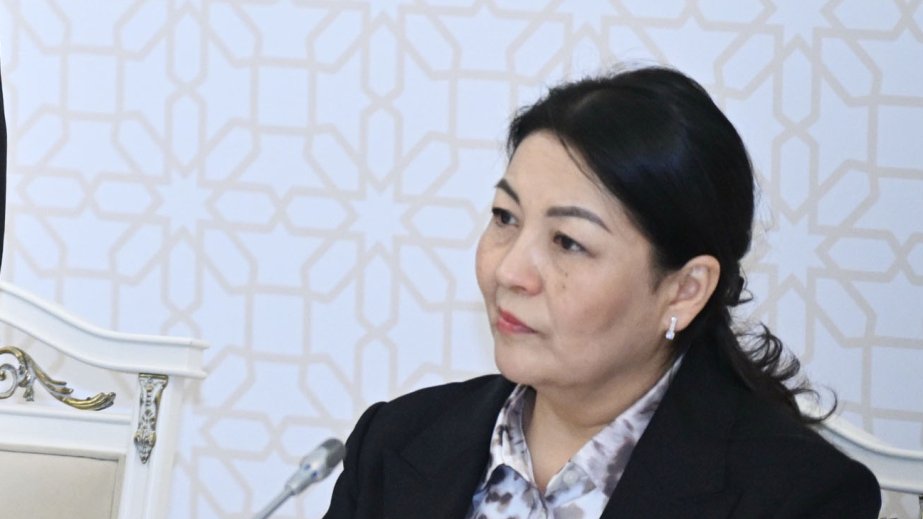 Qırğızıstan parlamentarisi: İqlim dəyişikliyi sağlamlığa birbaşa təsir edir