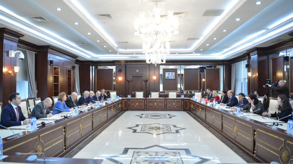 Milli Məclisdə TÜRKPA-ya üzv ölkələrin parlamentlərinin Səhiyyə komitələrinin sədrləri ilə görüş olub