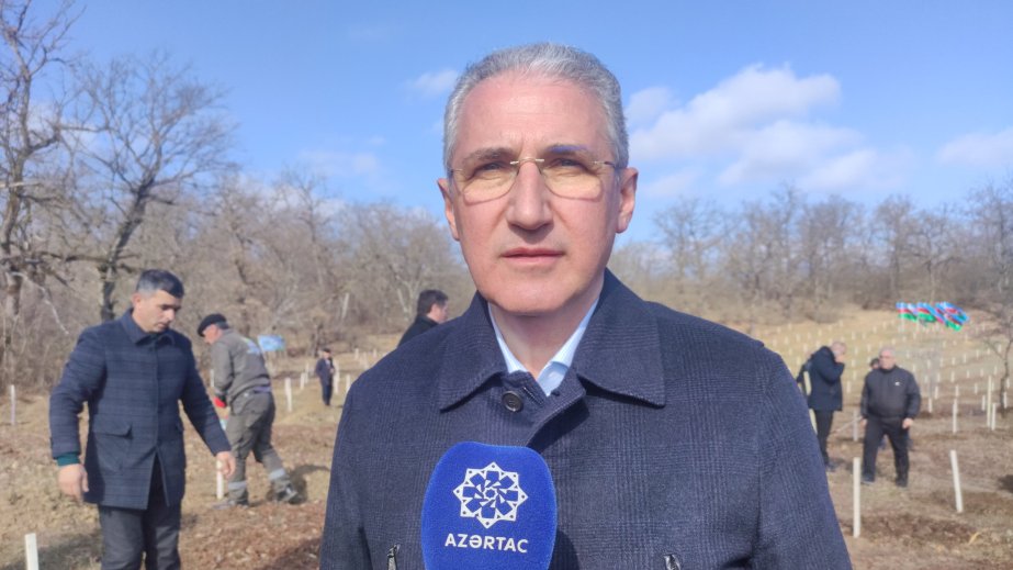 Muxtar Babayev: Ötən il ölkə ərazisində 8 milyondan çox ağac əkilib
