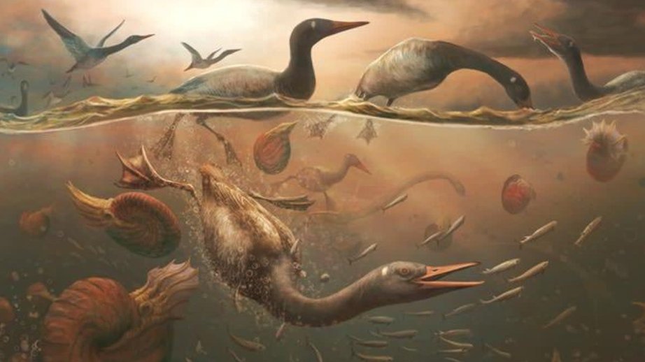 Antarktidada 69 milyon il yaşı olan quşun kəllə sümüyü tapılıb