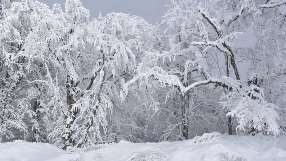 Qubanın Qırız kəndində 20 santimer qar, mənfi 8 dərəcə temperatur qeydə alınıb