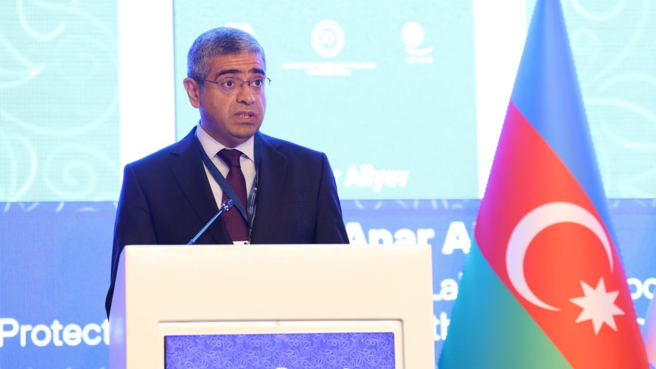 Yeni əmək və əhalinin sosial müdafiəsi naziri Anar Əliyev kimdir? - DOSYE