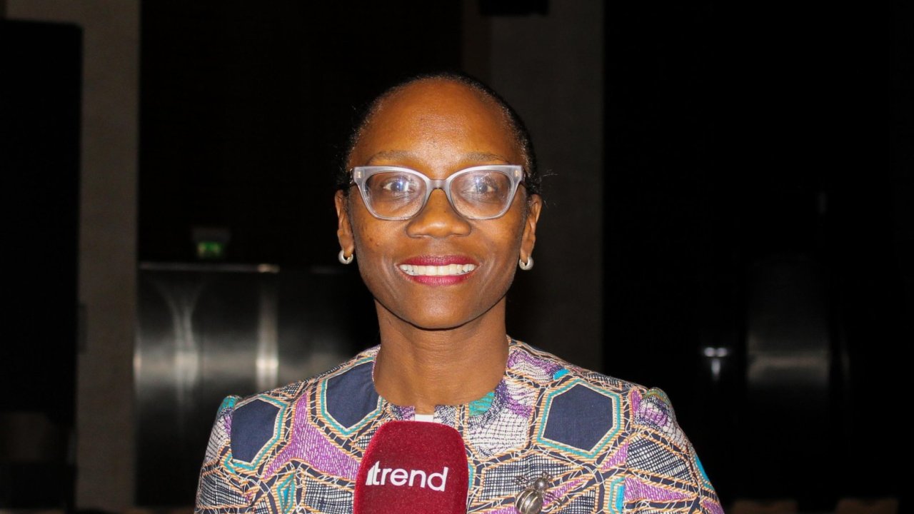 Dünya bankı və Azərbaycan ofşor külək enerjisinin inkişafını müzakirə edirlər - Roland Prays (ÖZƏL)