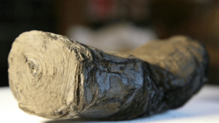 Alimlər Vezuvi vulkanında karbonlaşmış perqament yazılarını AI vasitəsilə deşifrə ediblər