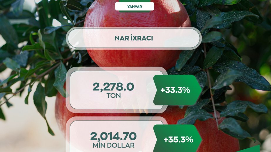 Xarici bazarlara nar ixracı artıb
