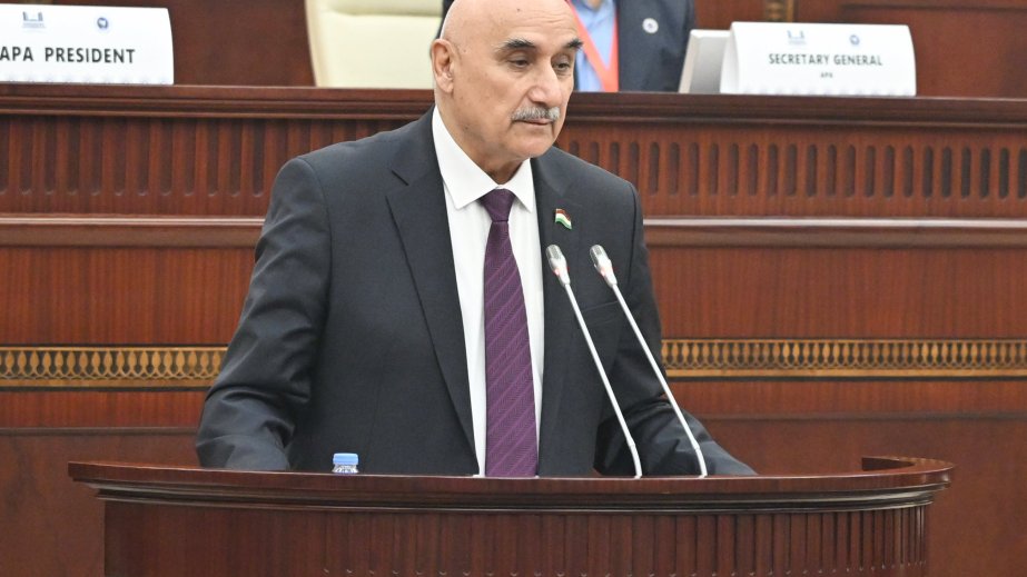 Tacikistanlı nümayəndə: Buzlaqların qorunması və qlobal təhlükəsizlik üçün beynəlxalq əməkdaşlıq vacibdir