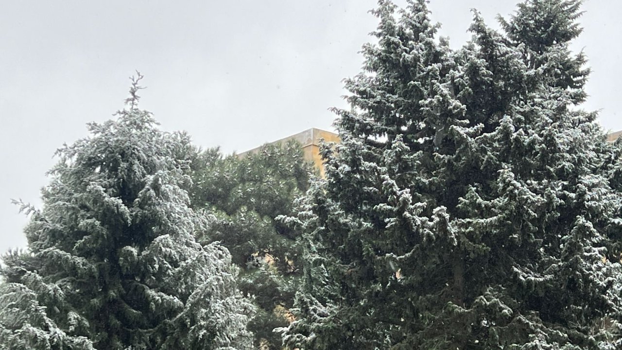 Qarşıdakı 5 gün Bakı və Abşeron yarımadasında bu qışın ən uzunmüddətli soyuq dövrü olacaq - Nazirlik