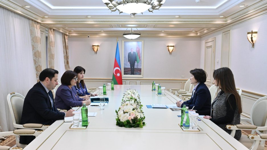 Milli Məclisin sədri Türk Mədəniyyəti və İrsi Fondunun prezidenti ilə görüşüb