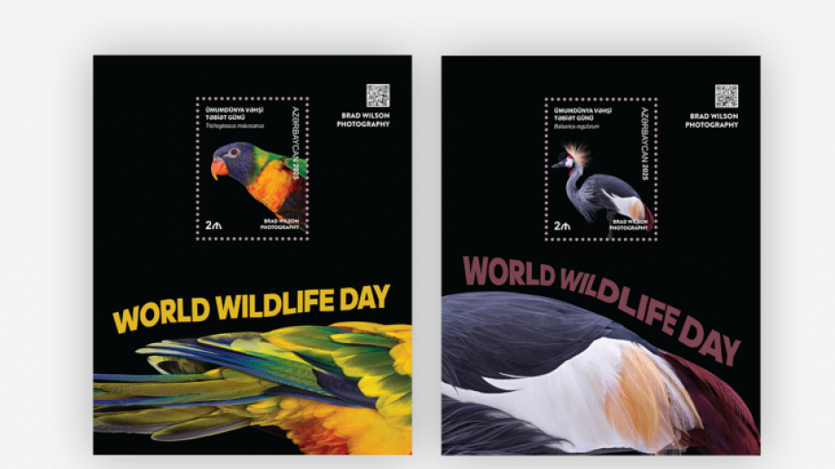 Ümumdünya Vəhşi Təbiət Günü ilə bağlı “Azərpoçt” silsilə markalar buraxıb