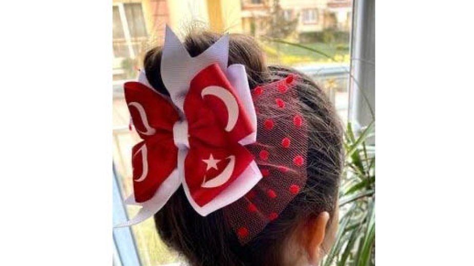 Türkiyədə qadınlarla bağlı statistik araşdırmanın nəticələri açıqlanıb