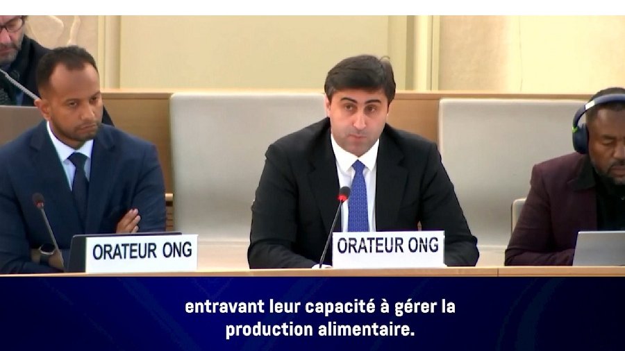 BTQ-nin İcraçı direktoru BMT-də müstəmləkəçilik siyasətinin yerli əhalilərin ərzaq təhlükəsizliyinə təsirlərindən danışıb (VİDEO)