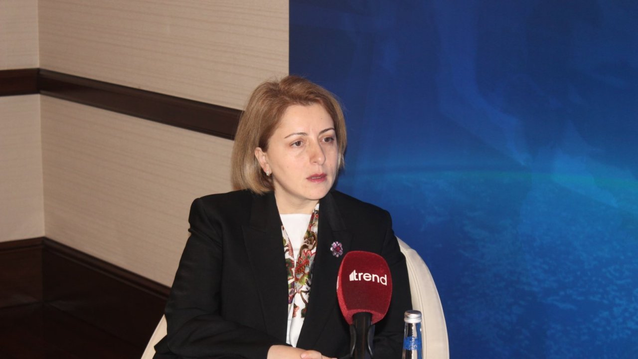 Qara dəniz Enerji Kabeli layihəsi Azərbaycanın qlobal əhəmiyyətini sübut edir - Eka Tkeşelaşvili (MÜSAHİBƏ)