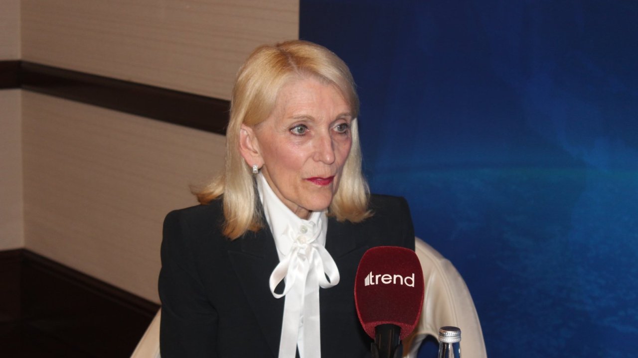 Azərbaycan Qərbi bərpa olunan enerji ilə təmin etmək potensialına sahibdir - Cin Baderşnayder