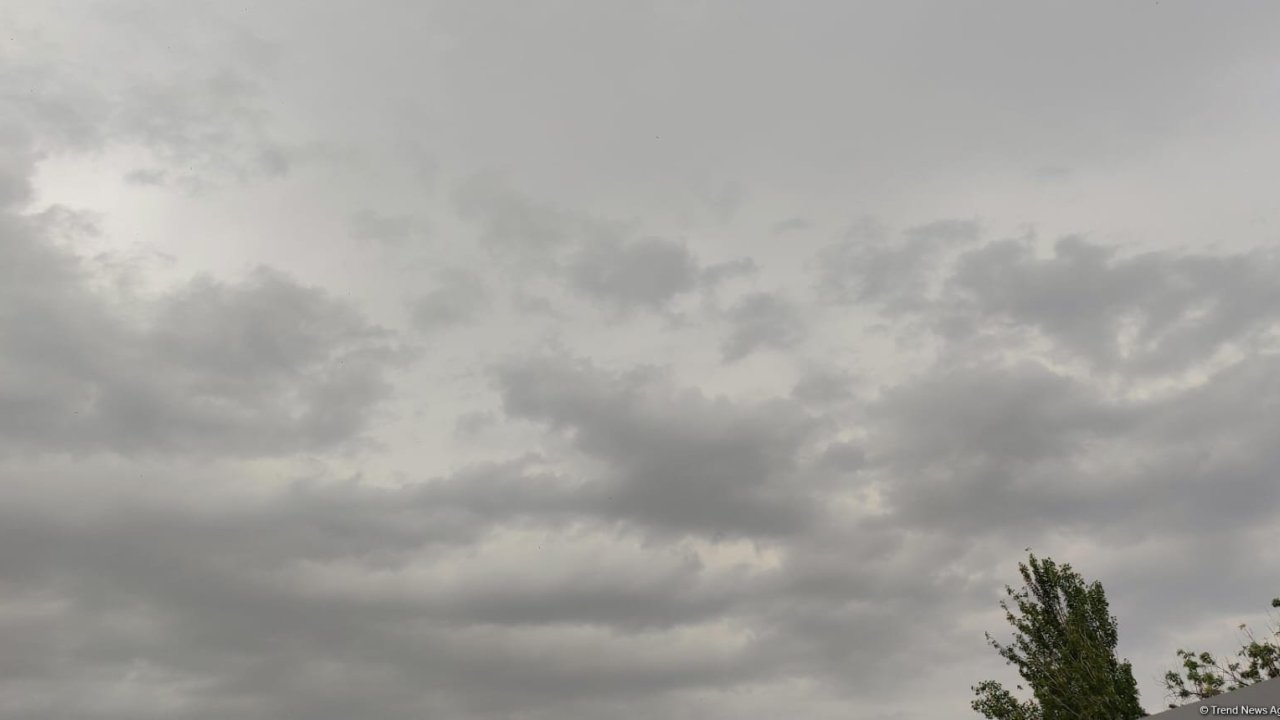 Dünya əhalisinin əksəriyyəti havası çirkli şəhərlərdə yaşayır