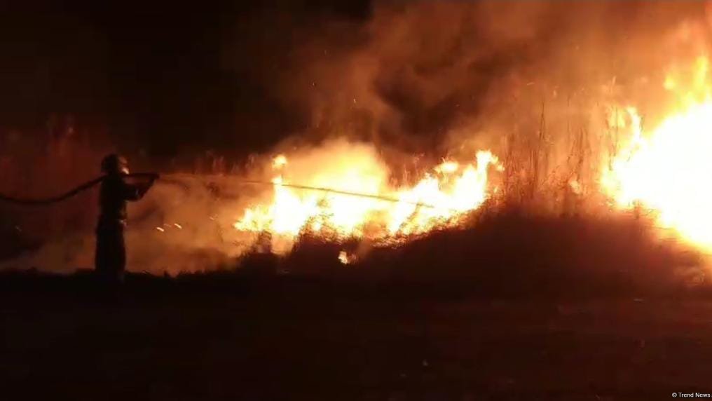 Cəbrayılda 80 hektar ərazi yanıb