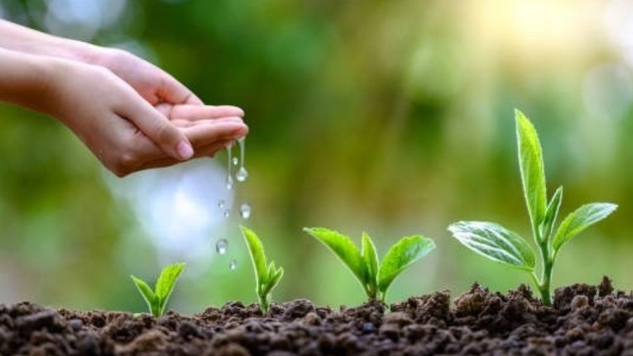 Folklorşünas-alim: Torpaq çərşənbəsi özündə mifik və real baxışları birləşdirir