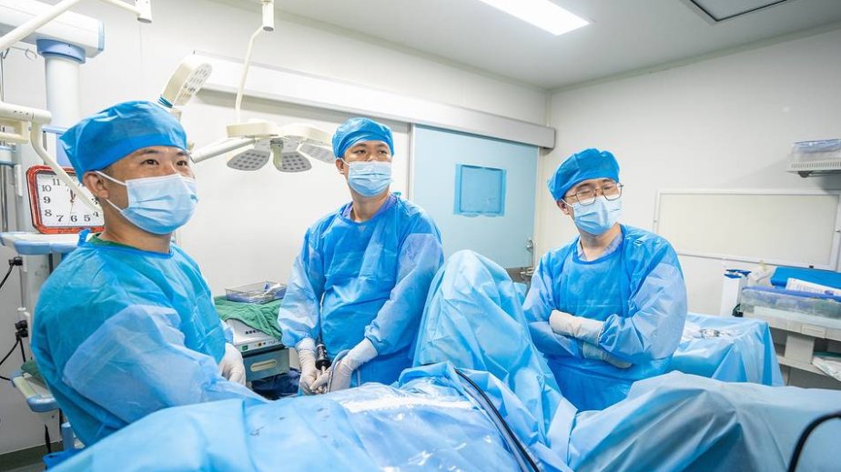 Çində genetik kodu dəyişdirilmiş donuz böyrəyi insana köçürülüb