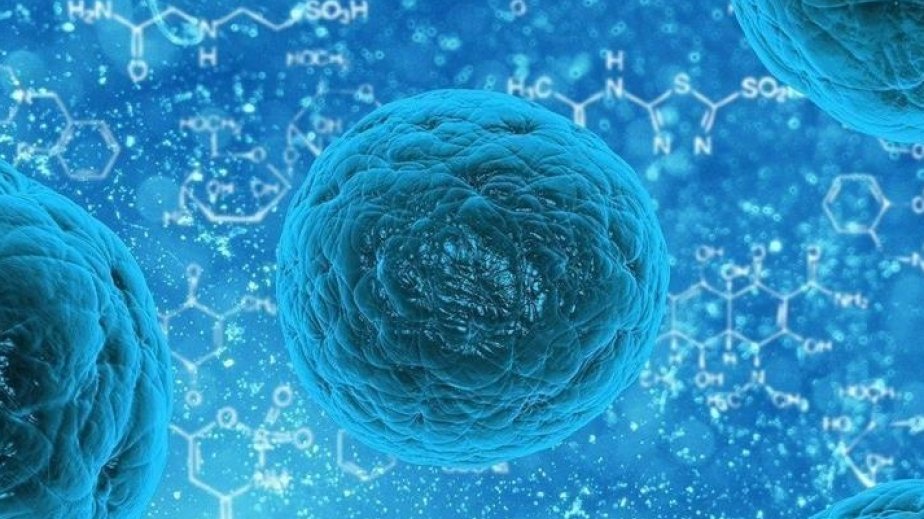 Çin alimləri xərçəngin müalicəsində sıçrayış ediblər