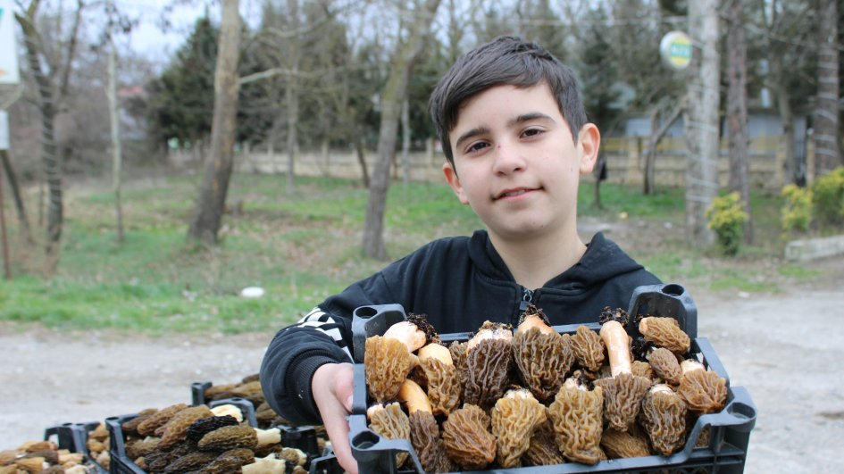 İki kiloqram quzu əti qiymətinə satılan quzuqarnı - Şabrandan REPORTAJ