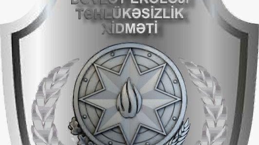 Bakıda ağacların qanunsuz kəsilməsi nəticəsində təbiətə 117 min manatdan çox ziyan dəyib