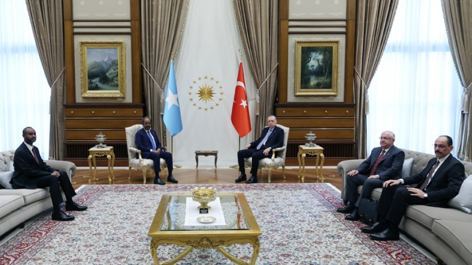 Turkish president, Somali counterpart discuss bilateral ties, regional issues