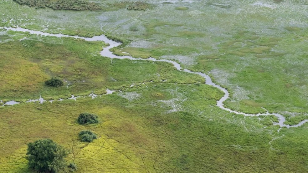 Qədim insanların ilk DNT profilləri aşkarlanıb - ARAŞDIRMA