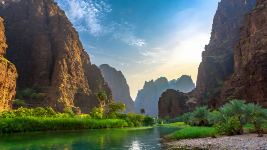 Tədqiqat: Səudiyyə Ərəbistanının ərazisi 8 milyon il əvvəl yaşıl vahə olub