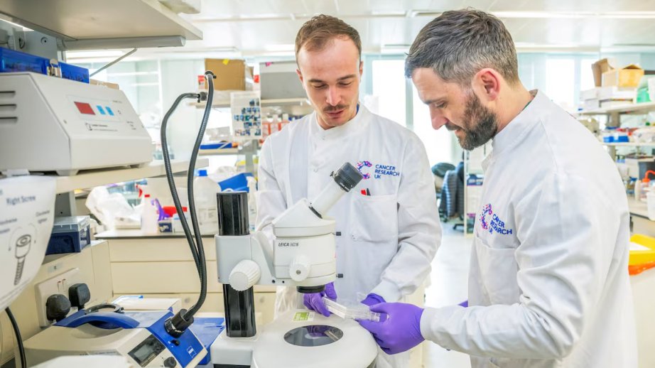 Böyük Britaniyada yüksək viza xərcləri elmi kadrlara maneə yaradır